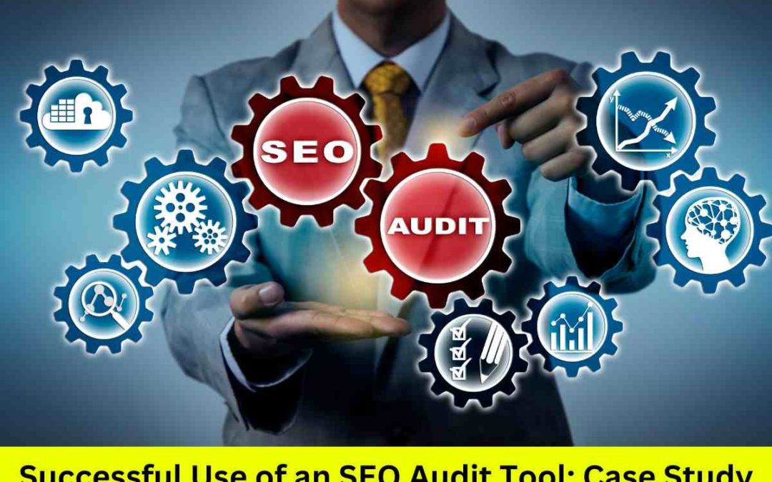 Successful Use of an SEO Audit Tool: Case Study